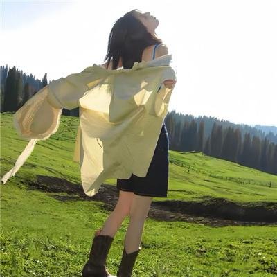 完全选举手册